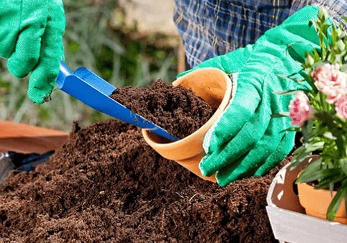 Buffered Cocopeat
