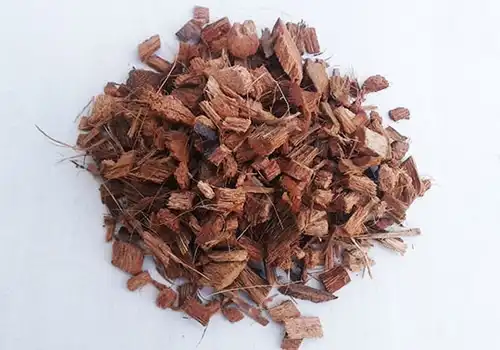 Coco Chips