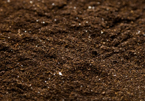 Coco 650g Bricks