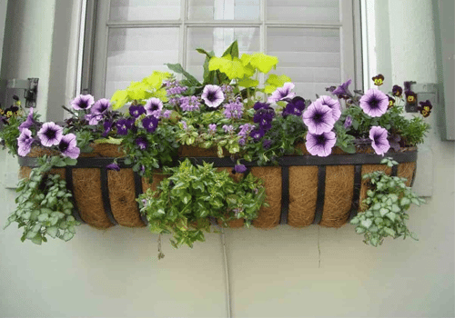 Garden Articles