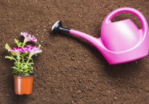 Cocopeat 5kg Blocks